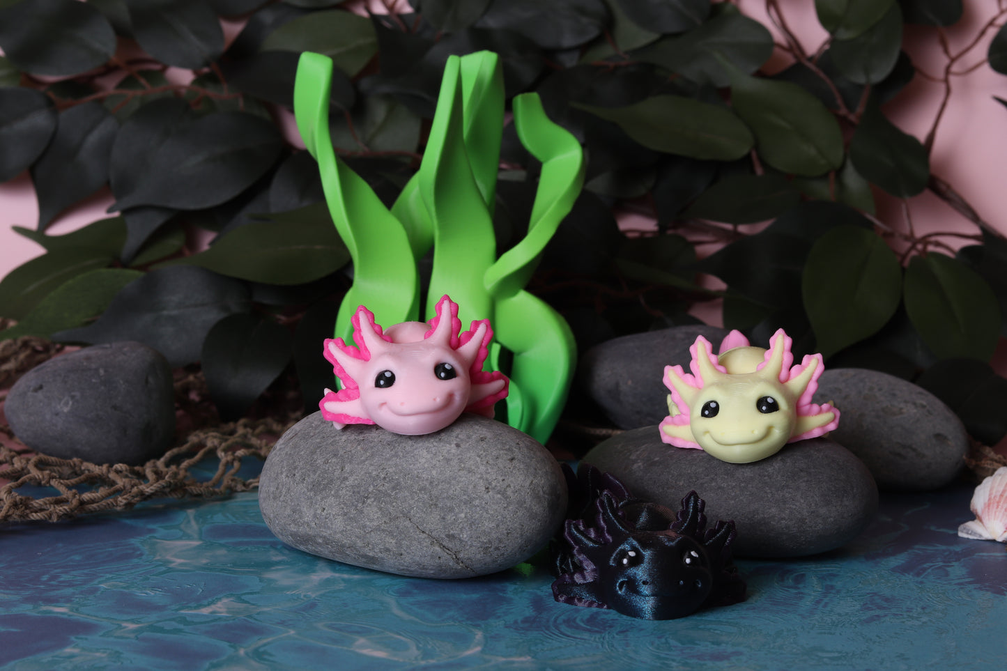 Axolotl